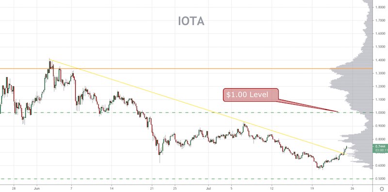 IOTA Price Forecast