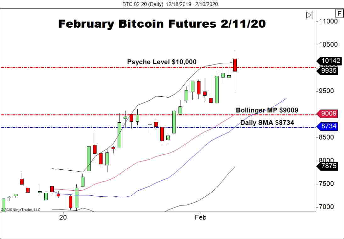 crypto bull 2020